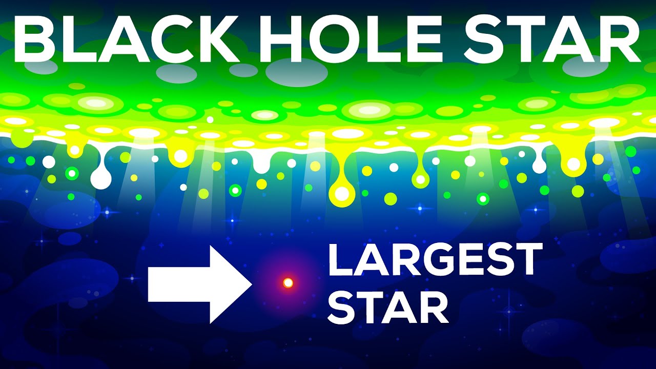 Black Hole Star