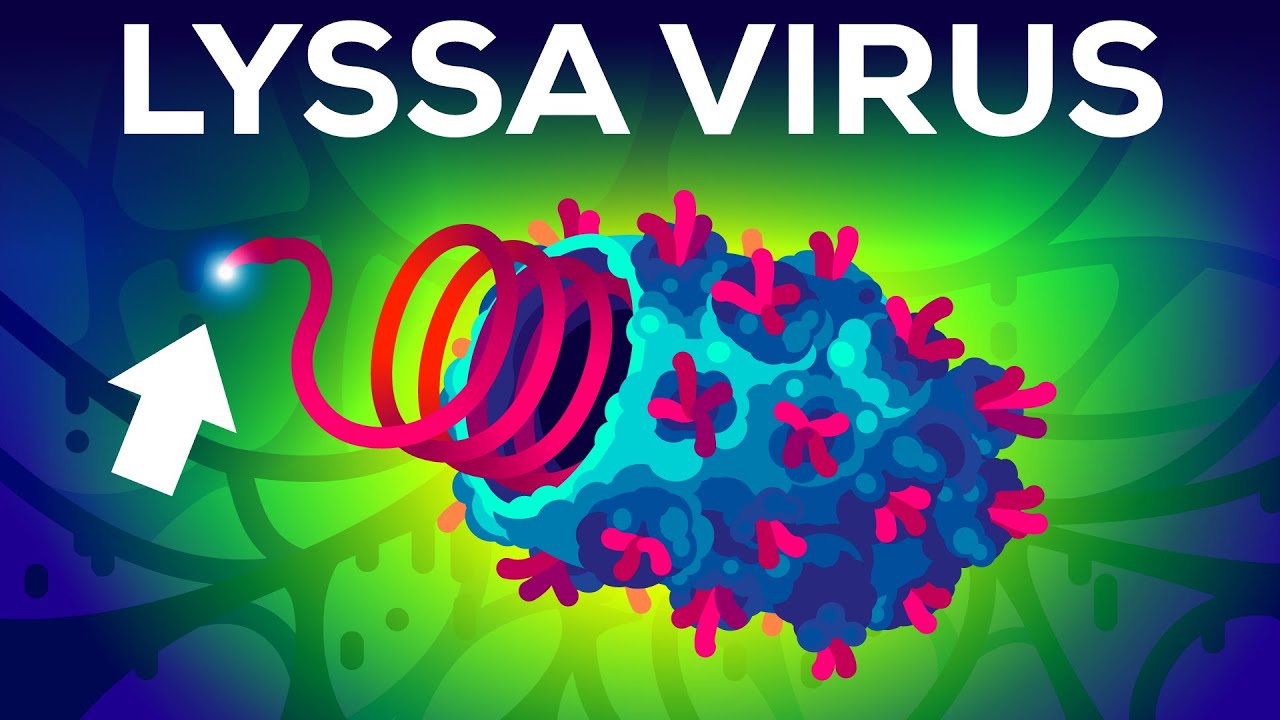 Lyssa Virus